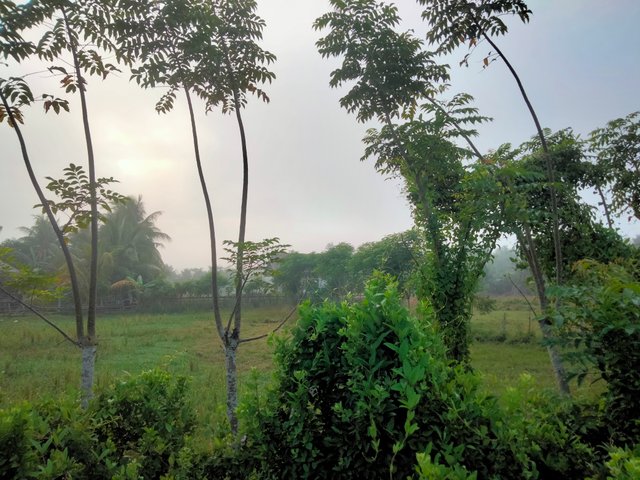 IMG20250822072446.jpg