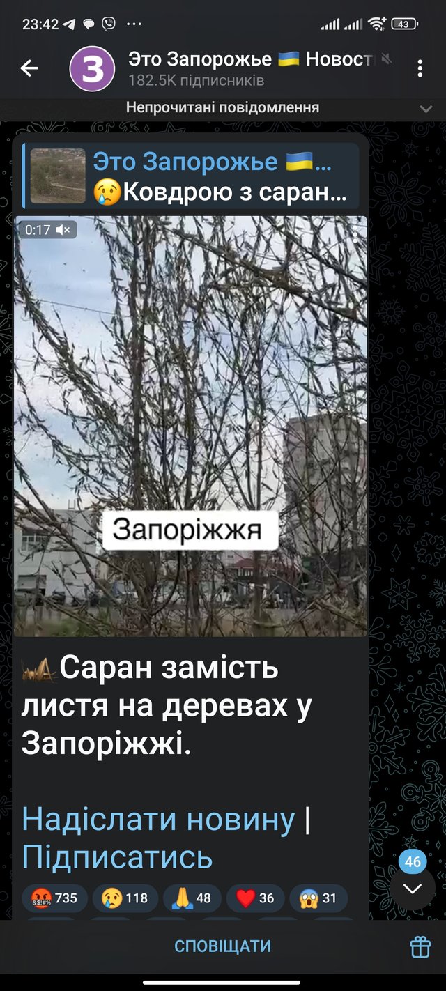 1000084501.jpg