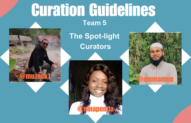 Curation Guidelines_20241031_110046_0000.png