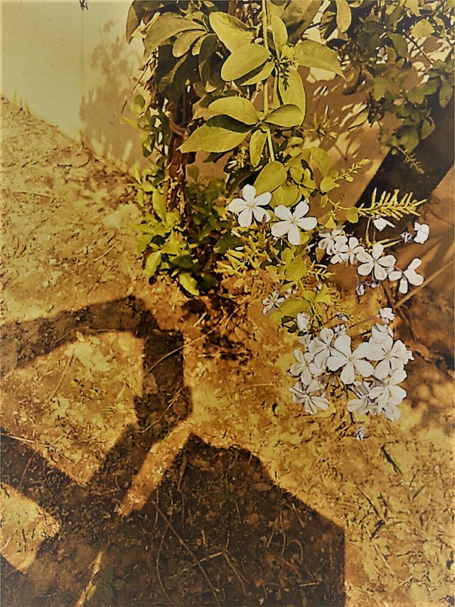 SelfieGirlCamera1552195572558.jpg