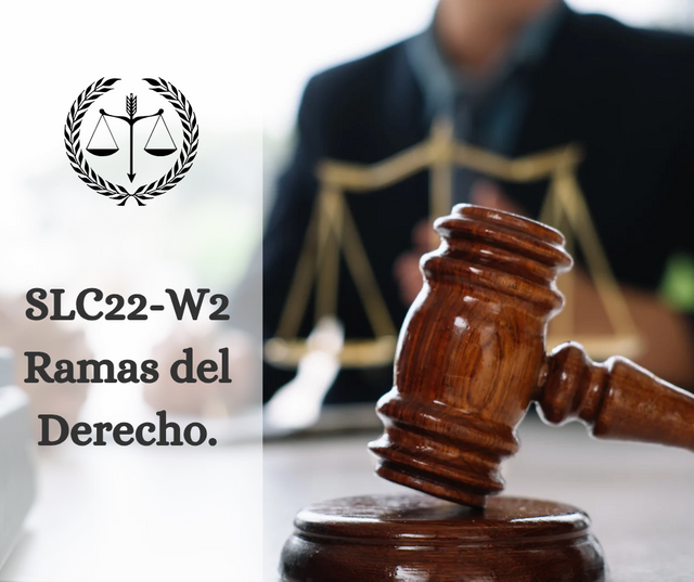 SLC22-W2_ Ramas del Derecho._20241227_060747_0000.png