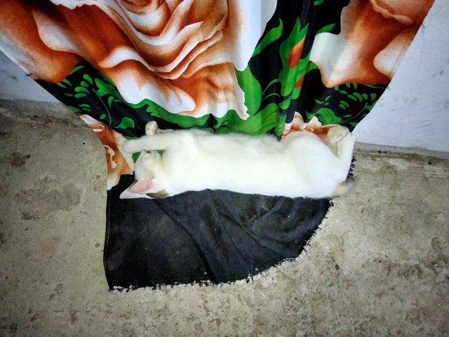 IMG20250722210602.jpg
