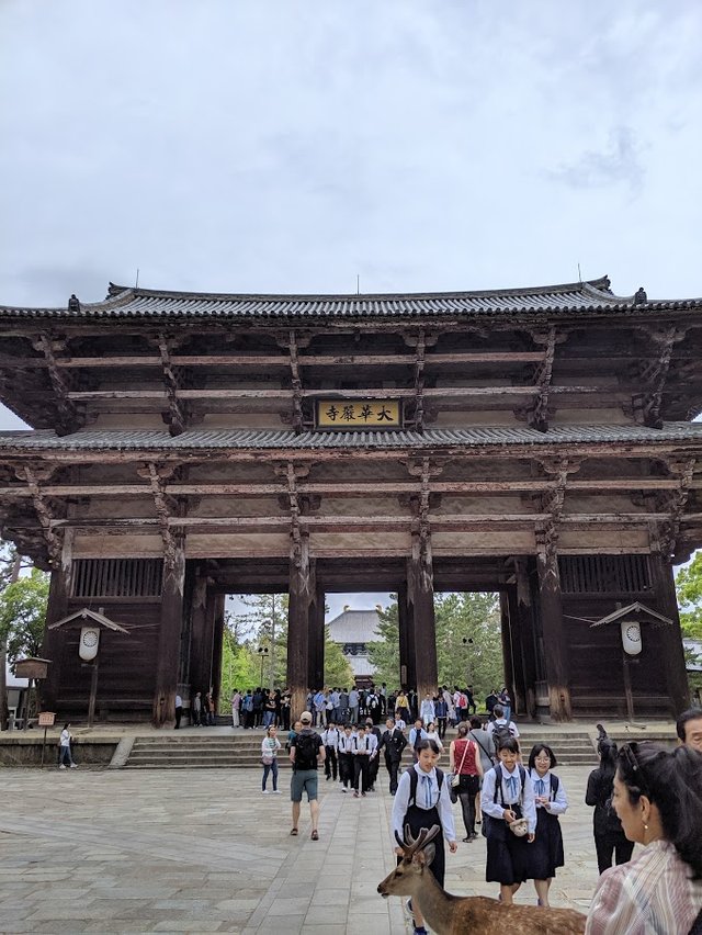 IMG_20190518_114640.jpg