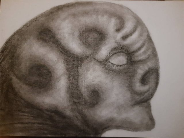 20250711_111556.jpg