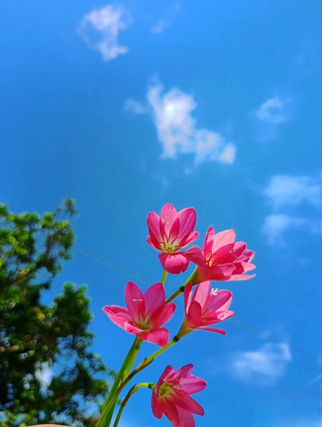 1000042070.jpg
