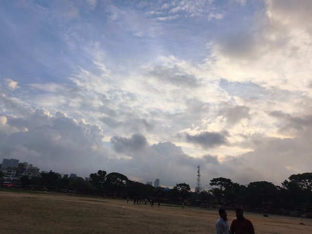 IMG_20250627_054715_1.jpg
