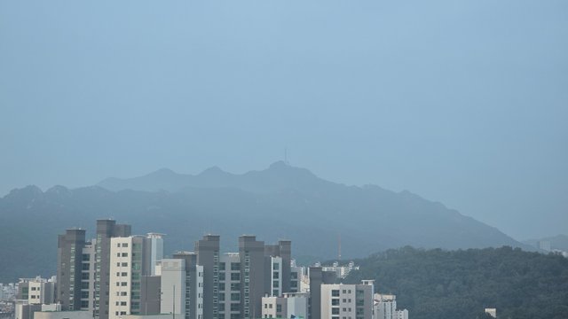 1000141217.jpg