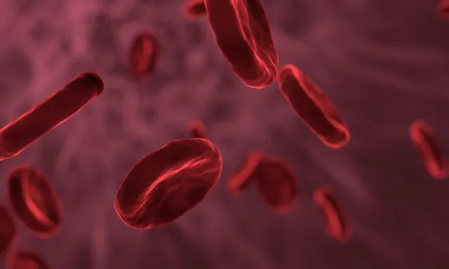 red-blood-cells-3188223_960_720.webp