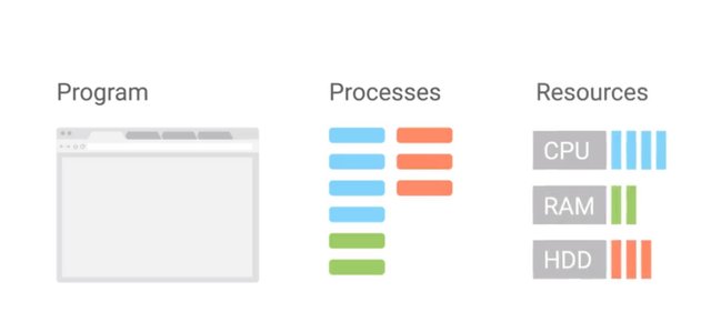 process and program.jpg