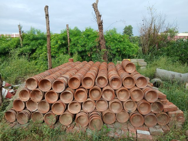 1000082549.jpg