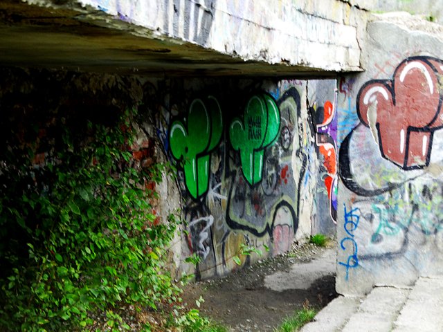 DSC07413.JPG