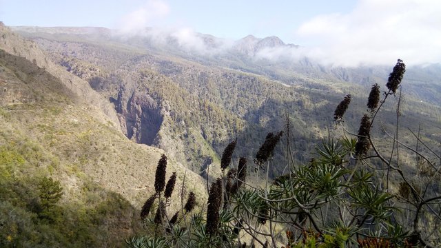 Trekking trasa Las Ventanas de Güímar (11).jpg