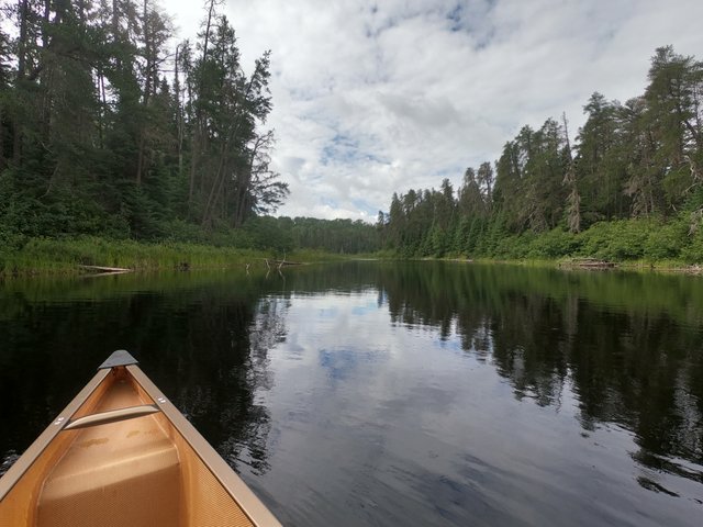 Quetico Canoe 25.JPG