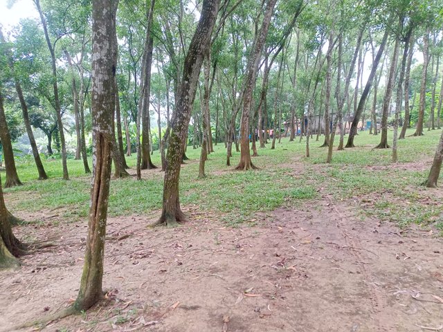 IMG20250804182410.jpg