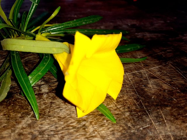 20250419_155902.jpg