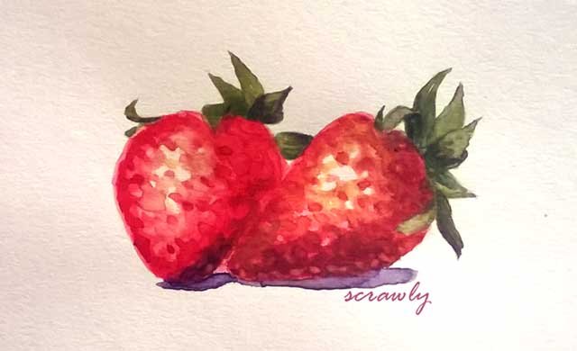 Strawberries Study