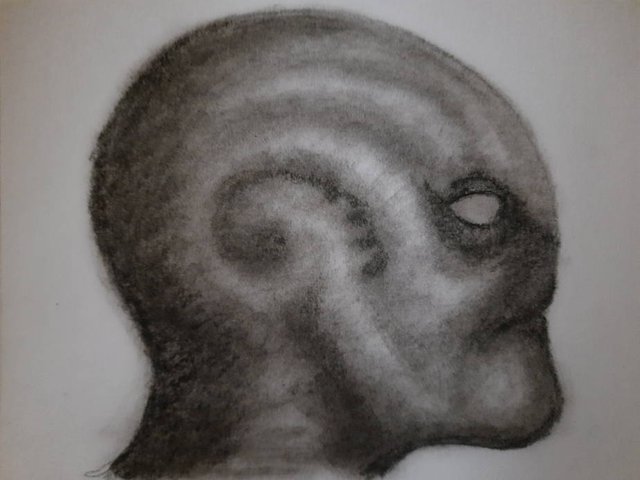 20251005_100135.jpg