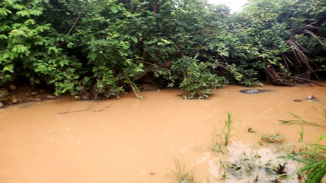 20250701_162237.jpg