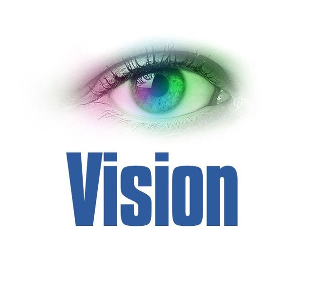 What is Vision in business and elements of vision.jpeg