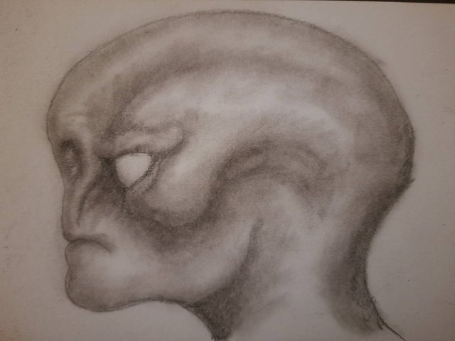 20250807_105827.jpg