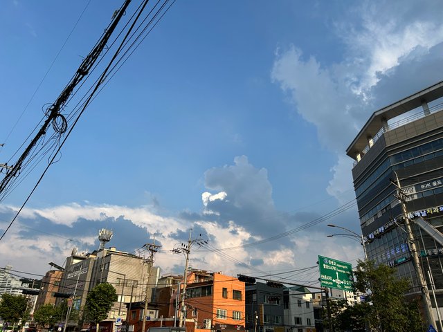 IMG_9549.jpeg