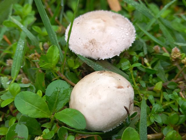 20250414_080452.jpg