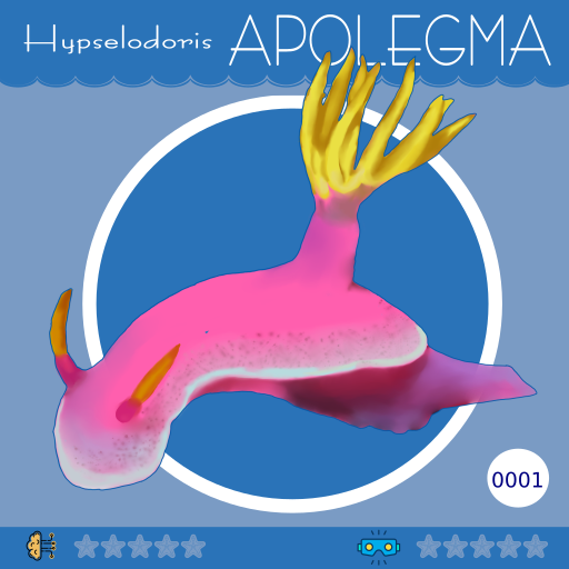 0001-HypselodorisApolegma.png