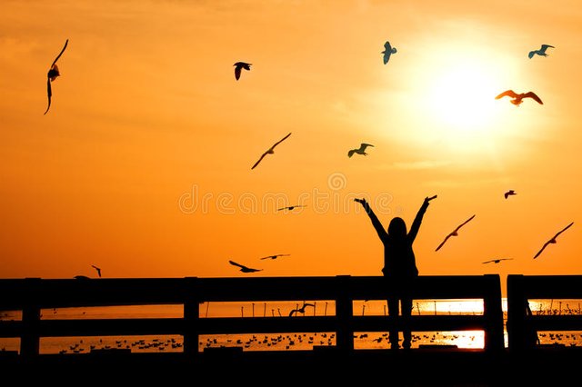 silhouette-happy-woman-birds-sunset-bridge-36285148.jpg