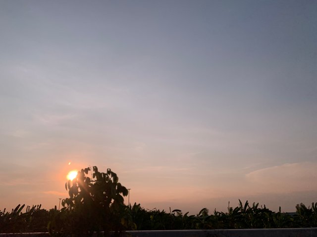 sunset8.jpg