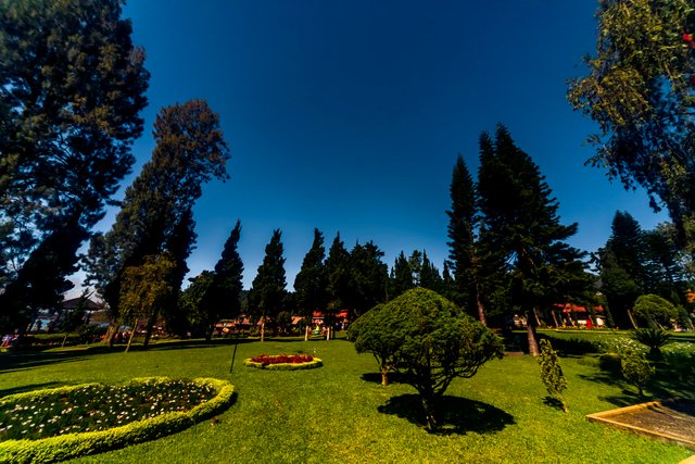 2022_06_21__055968.jpg