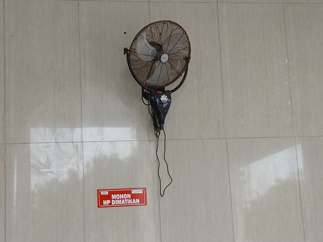 20250406_171328.jpg
