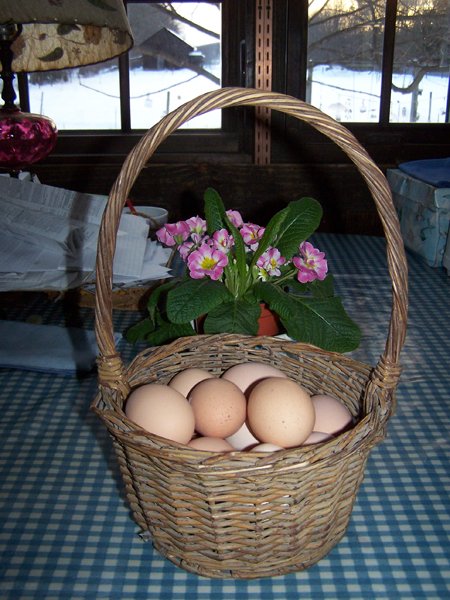 100 percent - 17 eggs crop Feb. 2019.jpg