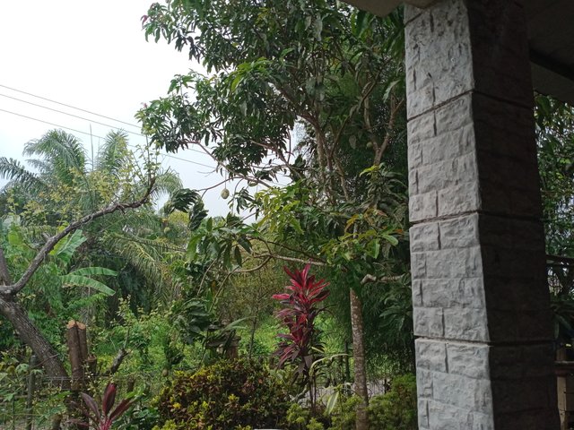 IMG20250523133234.jpg