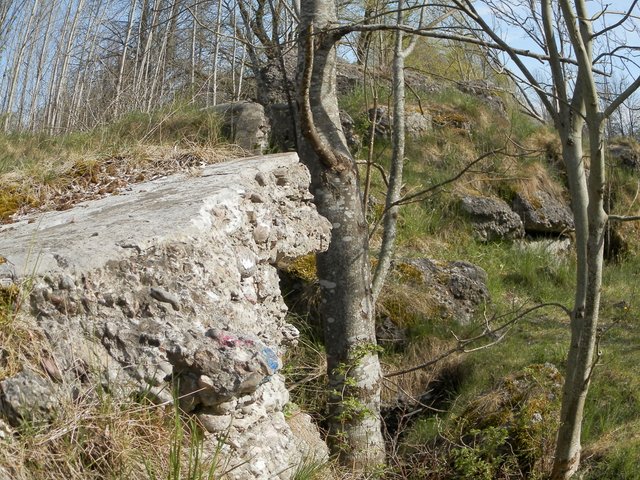 P5090030.JPG