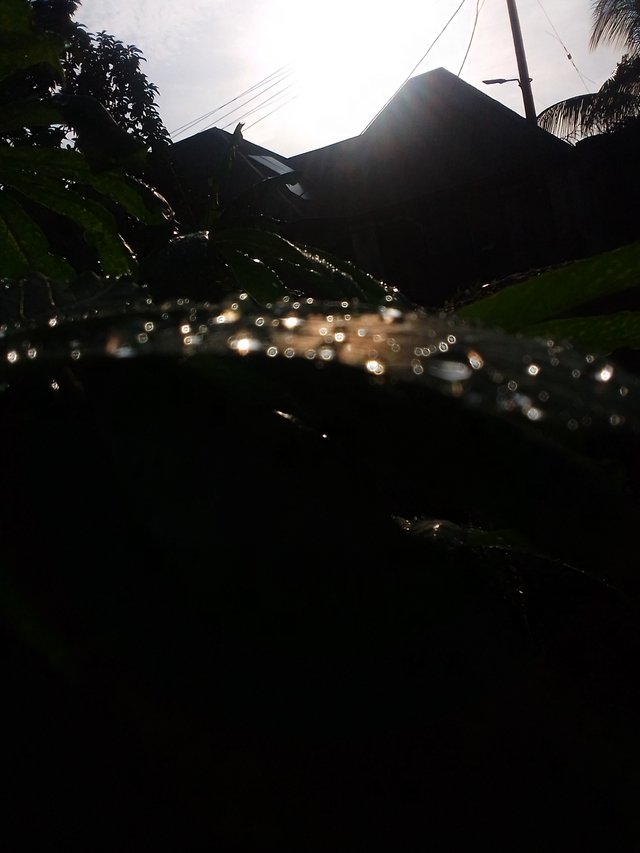 IMG_20250606_073556.jpg