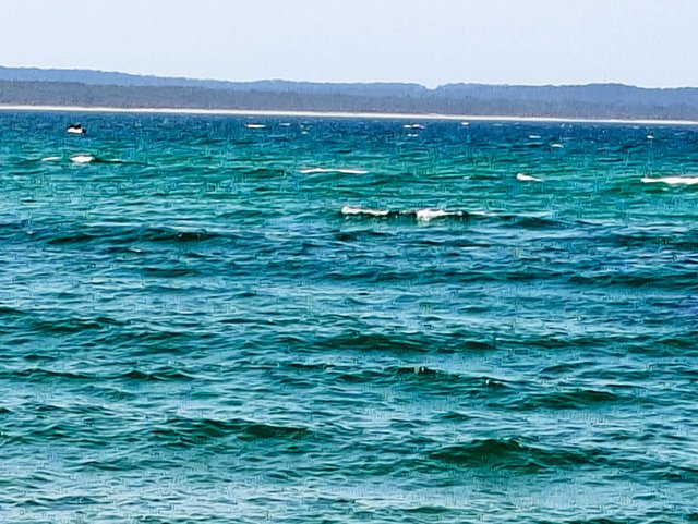 20251005_162455.jpg