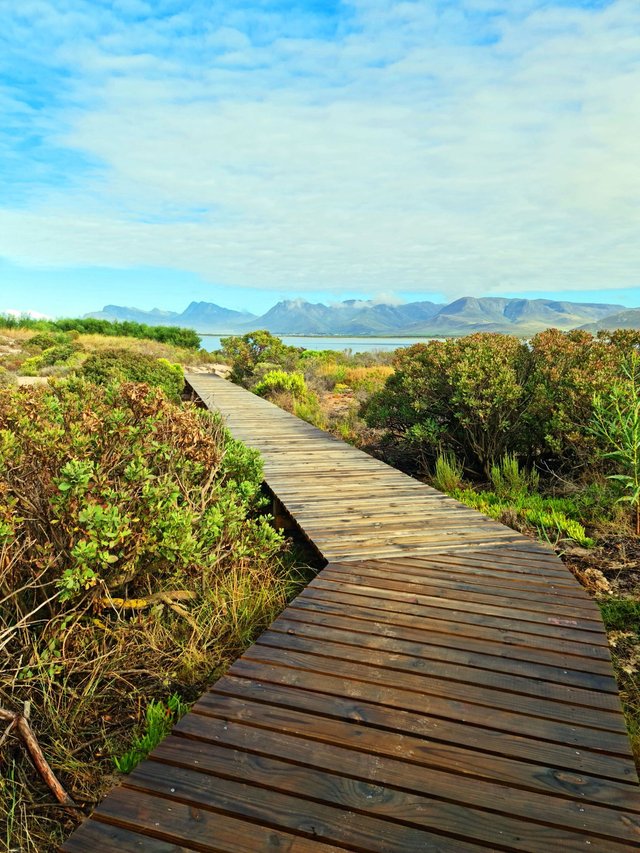 path by the lagoon.jpg