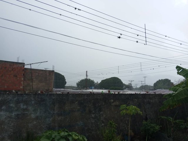 Imagen de WhatsApp 2025-04-30 a las 17.46.49_c14b86e0.jpg