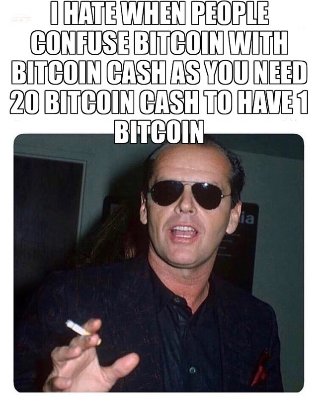 20 Bitcoin Cash.JPG