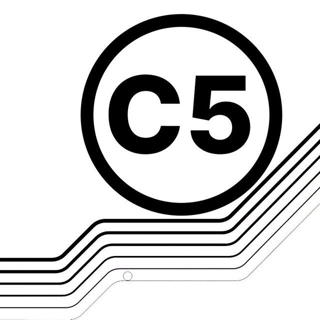 c5 consulting.jfif