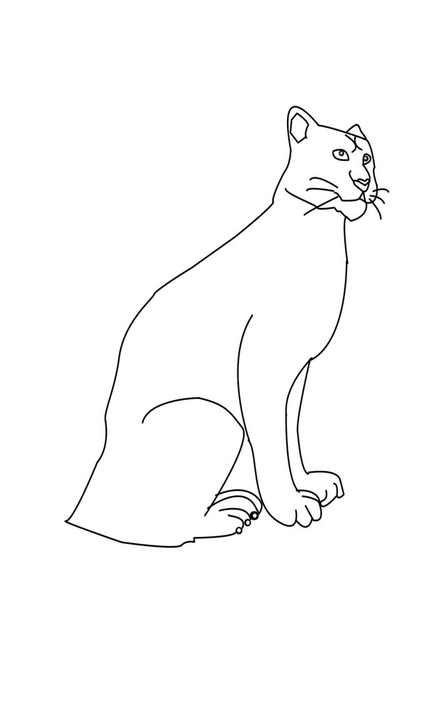 Jaguar 1.jpg