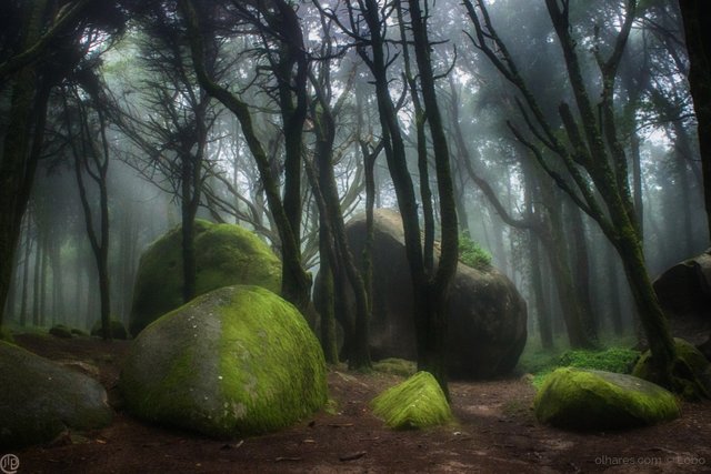 Parque Nacional de Sintra.jpg