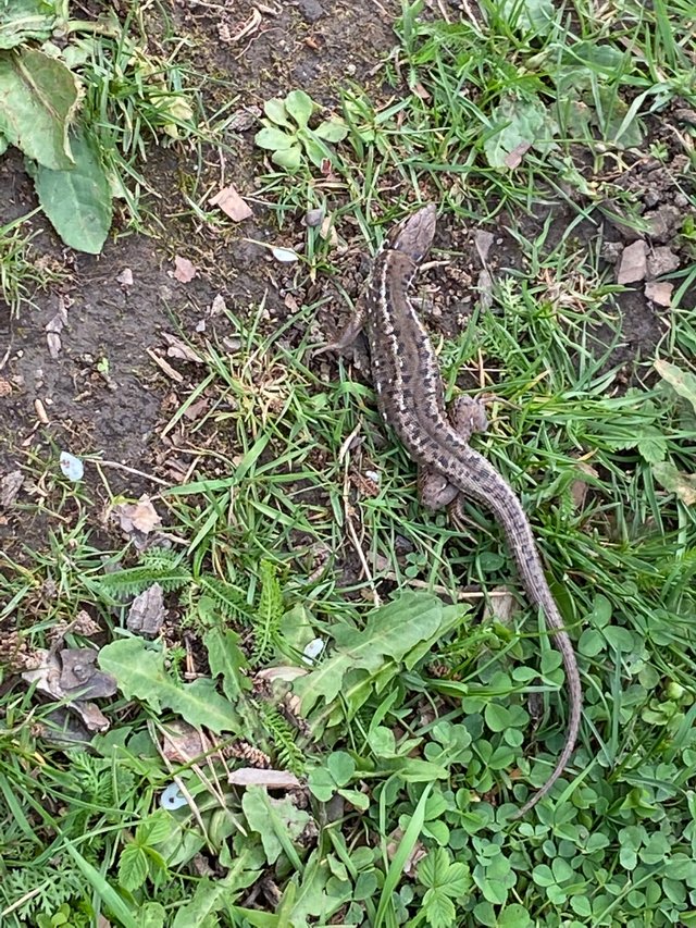 IMG1648.JPG
