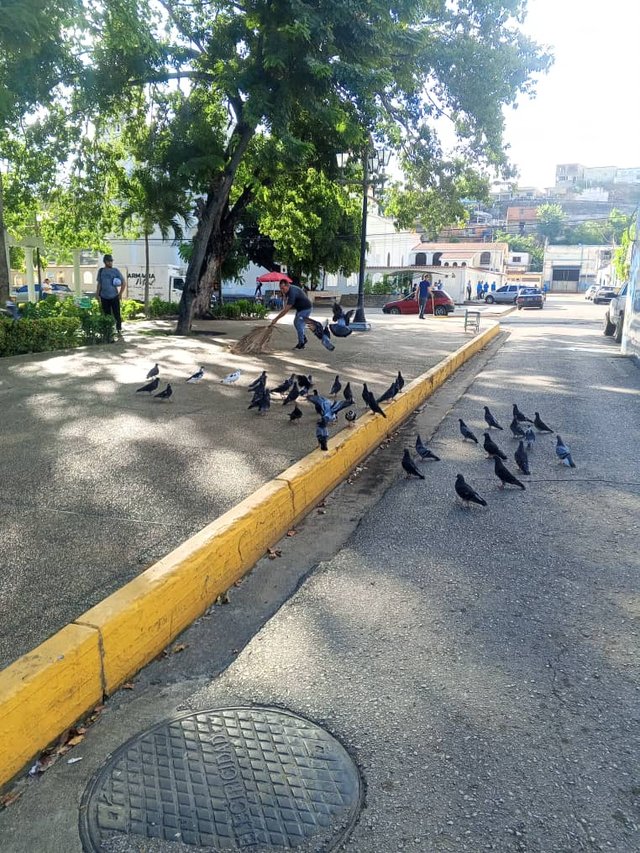 Imagen de WhatsApp 2025-09-15 a las 11.02.26_26d45db9.jpg