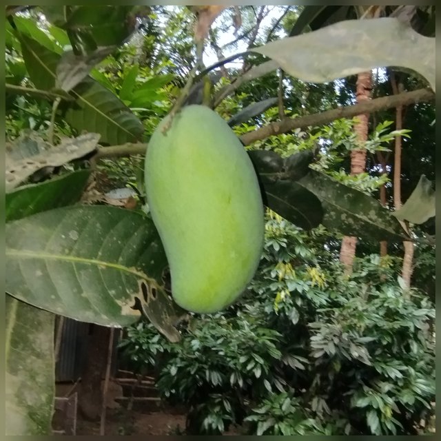 1000025269.jpg