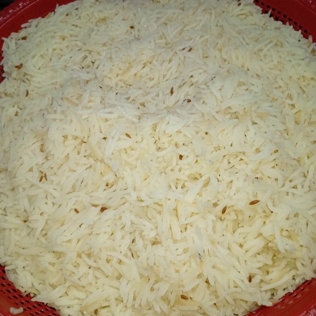 1000127316.jpg