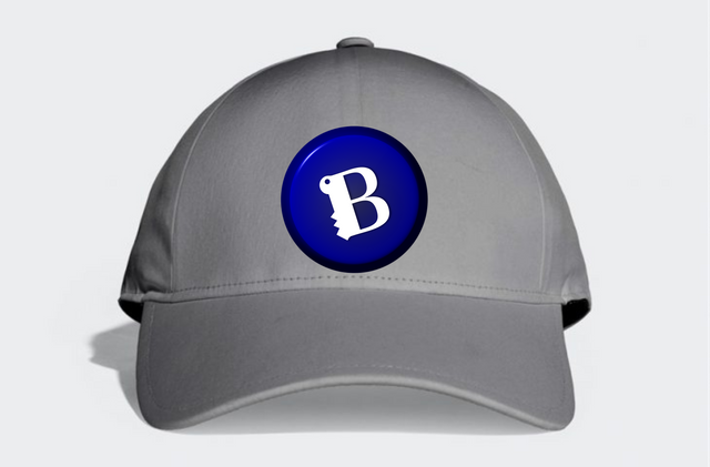 BLUE  CAP 1.png