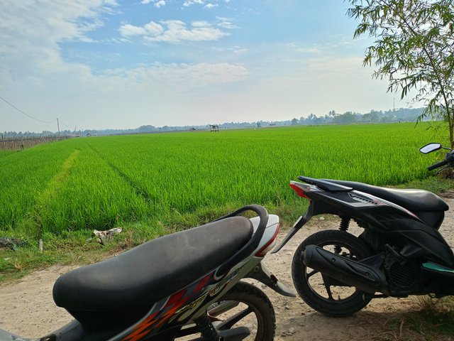 IMG20250819090457.jpg