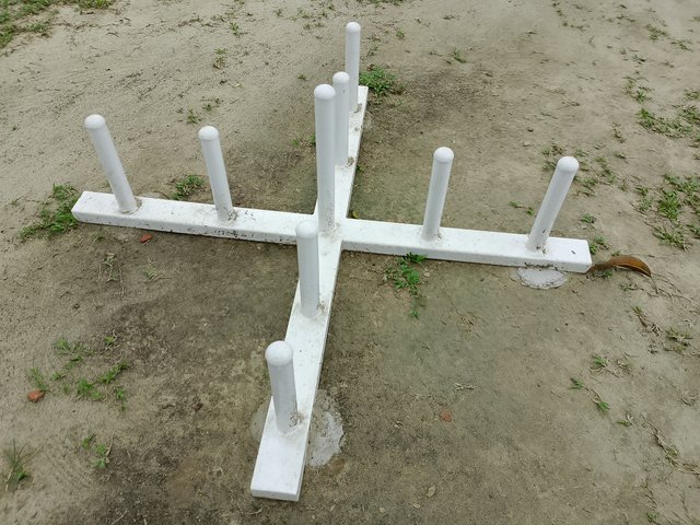 1000035648.jpg