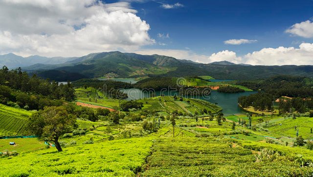 emerald-lake-nilgiris-ooty-tamilnadu-india-60426039.jpg